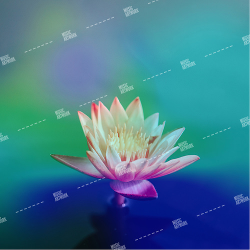album art with a flower