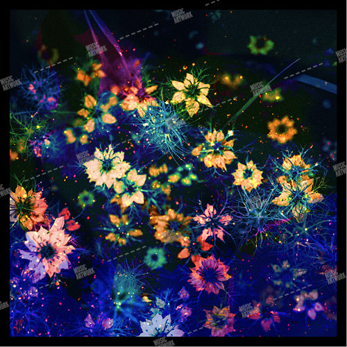 album art with flowers in the dark