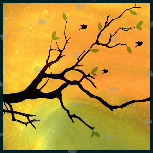 music, artwork, album, design