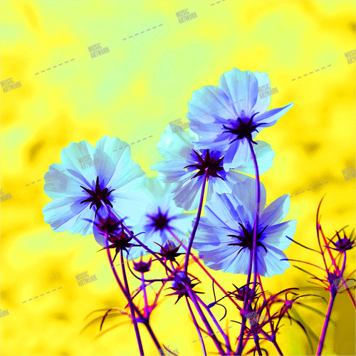 music, artwork, album, design
