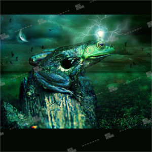 Album cover artwork showing a fantasy frog