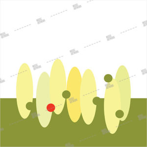 cover ID: 032020055