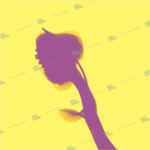 cover ID: 062020989