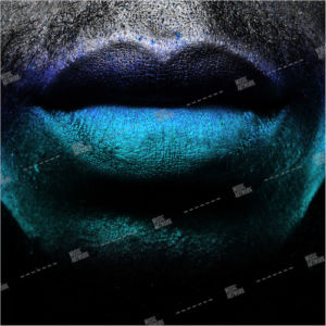 cover ID: 072020012
