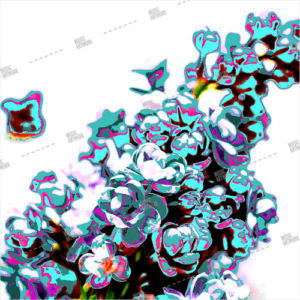 Low budged, cheap album art for music releases