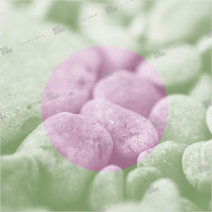 cover ID: 062020857