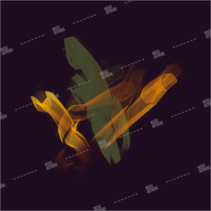 cover ID: 092020605