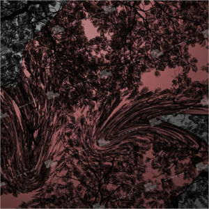 cover ID: 122020012