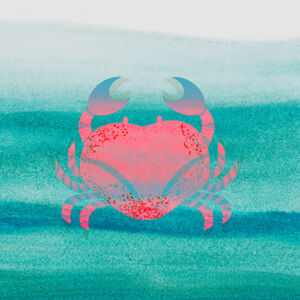 cover ID: 032022007